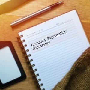 Company Registration (Domestic)