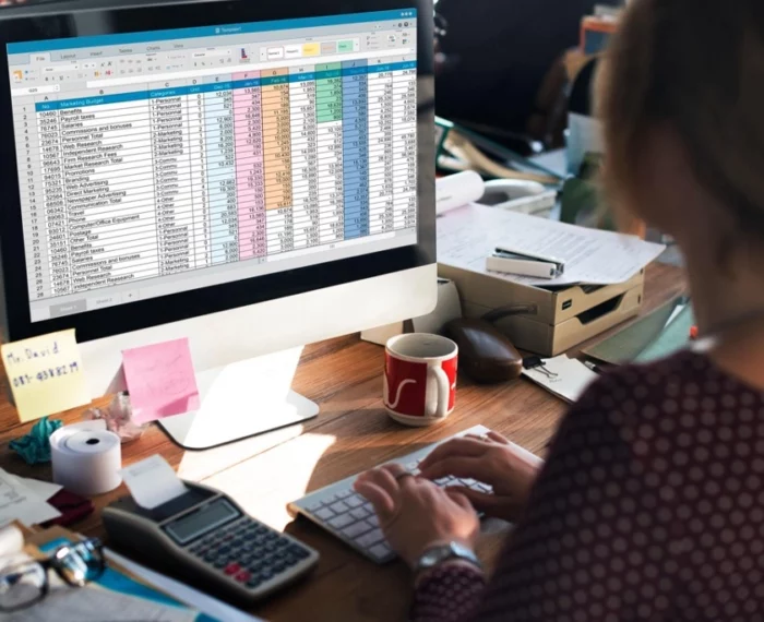 A lady working on an Excel sheet